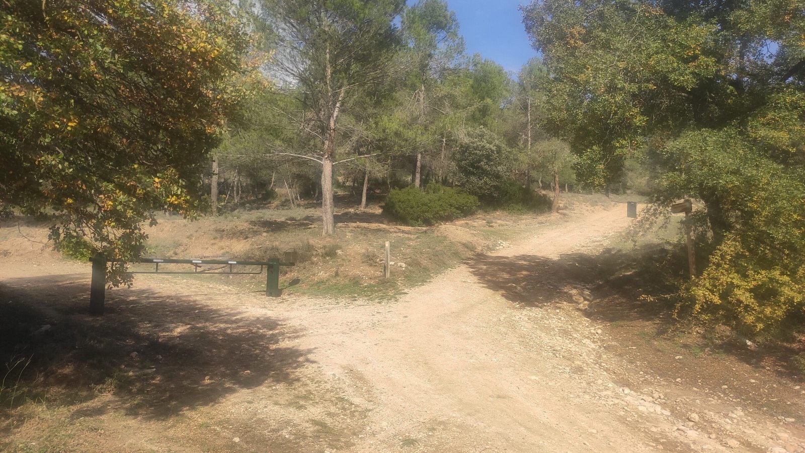 En la foto se ve un cruce de caminos, el camino izquierdo sube hacia las cuevas de Carabaña mientras que el derecho lleva a la Ruta del Pinar